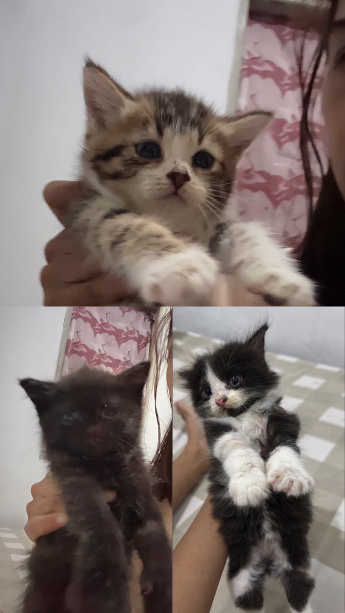 𝐾𝑒𝑦𝑑. tweet media