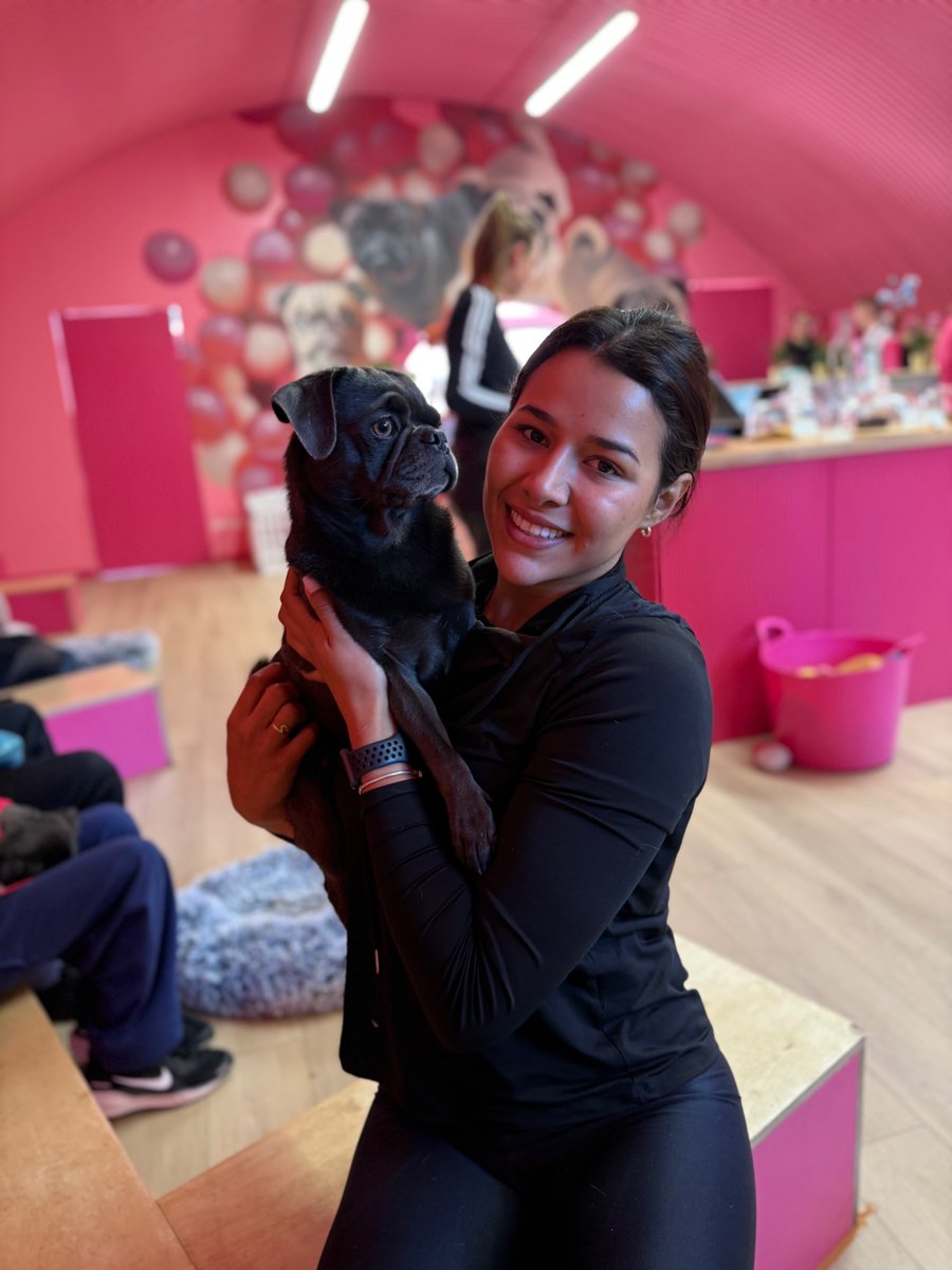 MTCREMOVALS's tweet image. 🐾 Moving house with your furry family members? It doesn’t have to be stressful! 🏡 Learn how to keep your pets calm, safe &amp;amp; happy on moving day — from prepping supplies to travel tips. 👉 mtcremovals.com/how-to-move-ho… #MovingWithPets #PetTips #MTCRemovals 🚚🐶🐱