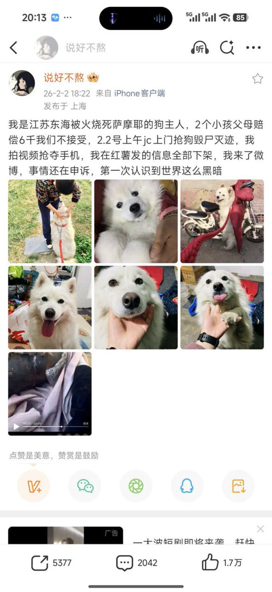 李老师不是你老师 tweet media