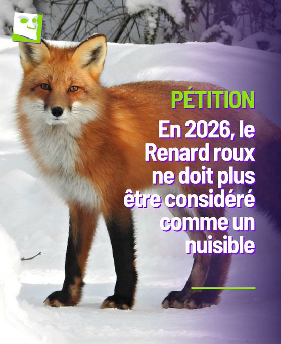 Mélania tweet media