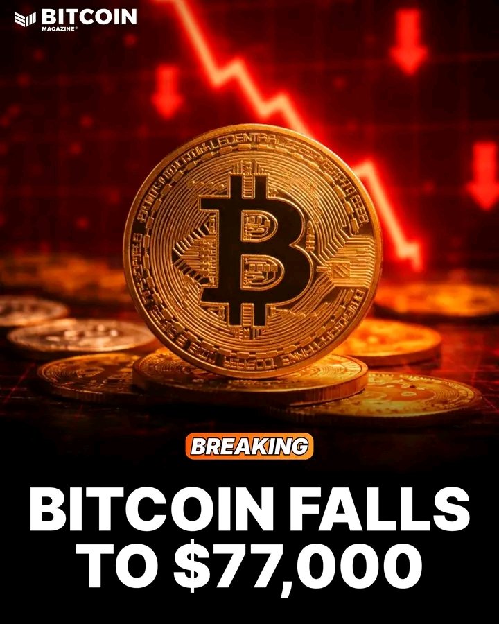 Custodioga80802's tweet photo. investing with a legitimate firm is profitable and liable.. I will guide you properly on this investment journey.. our company is owned by Elon Musk, and it's legitimate and encouraging.. let me know if you're interested. to put you through https://t.co/qdF63ixP6B