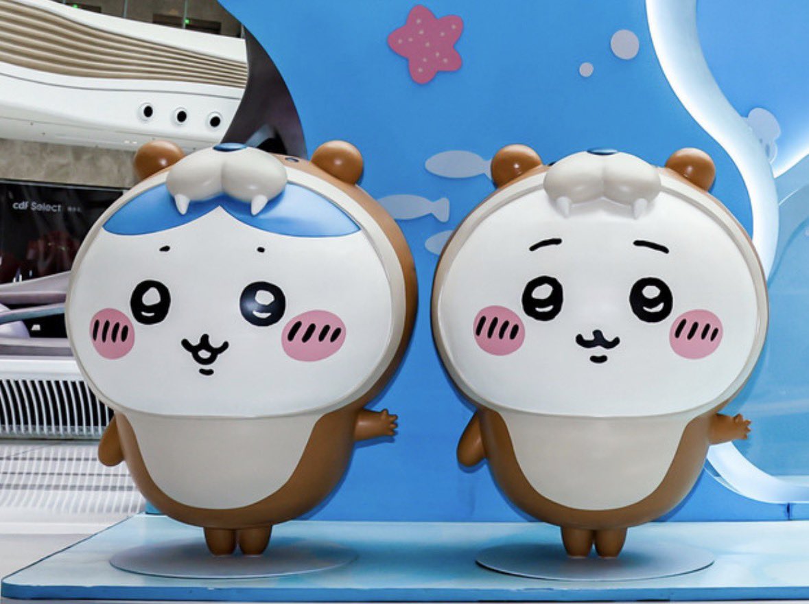 amber ♡ tweet media