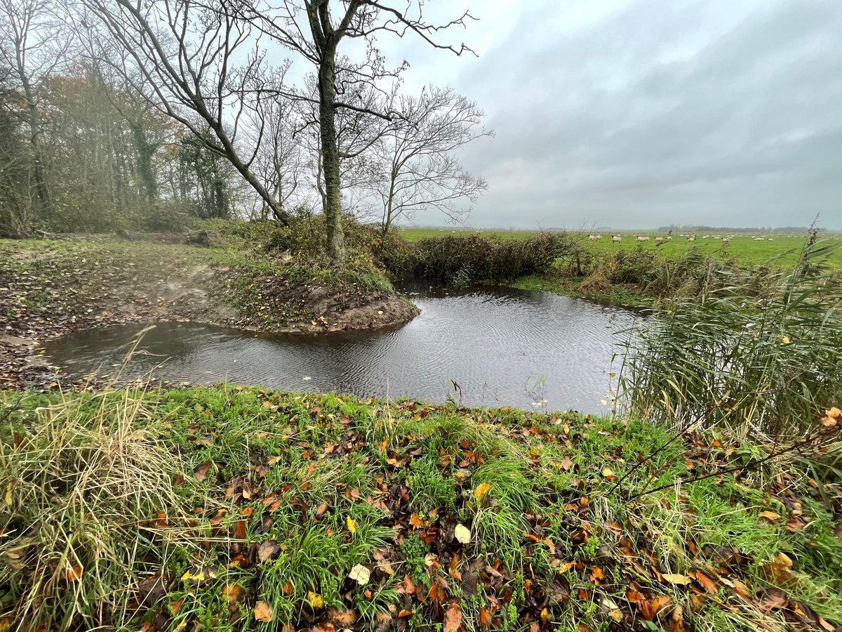 LIFE WADER tweet media