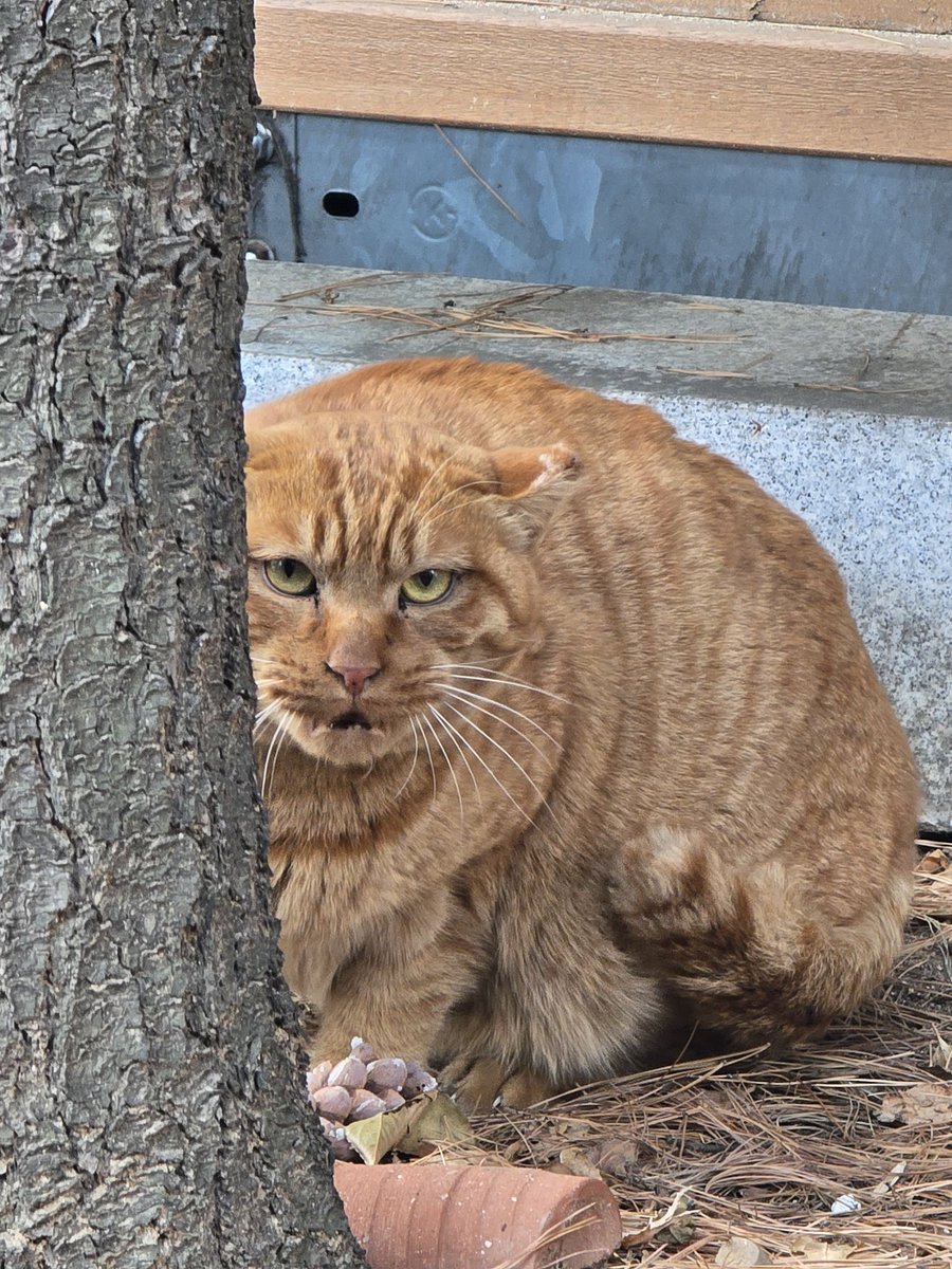 저는 위험한 사람이 아닙니다.