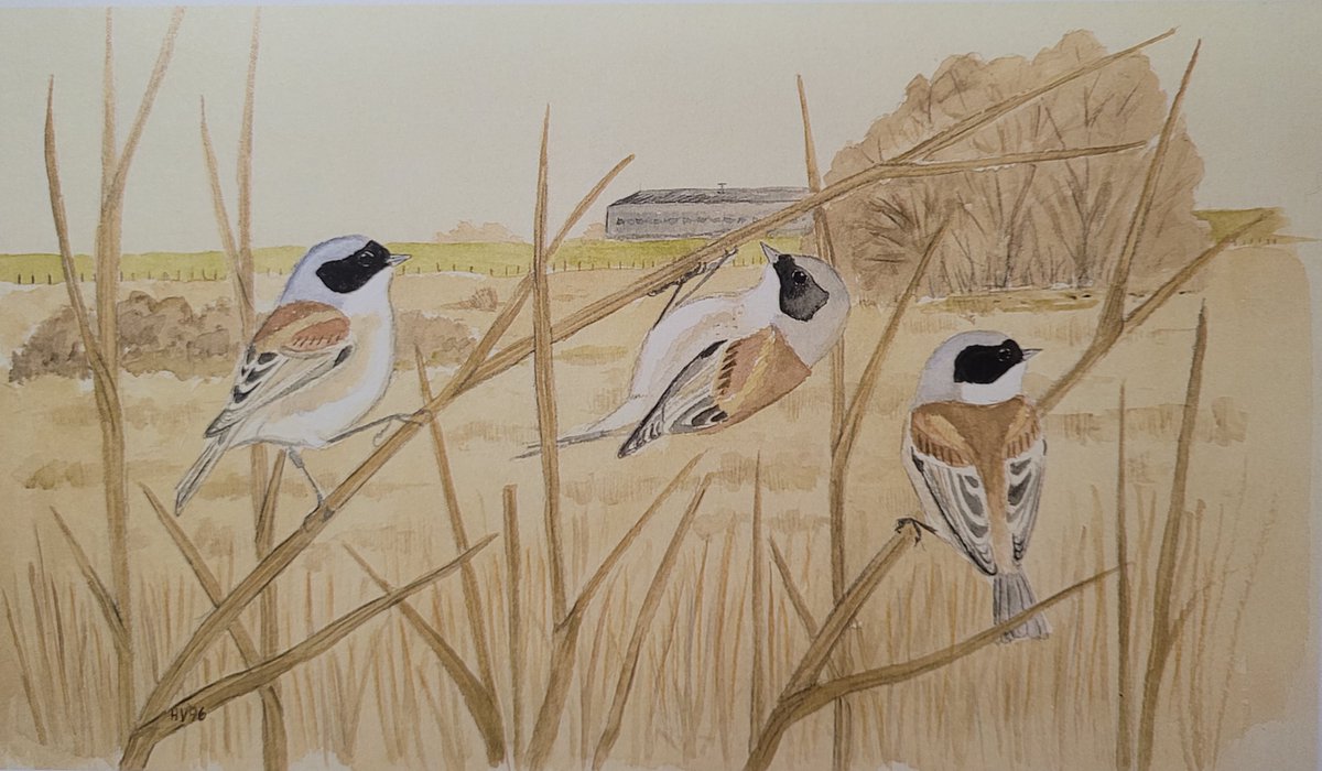 Howard Vaughan tweet media