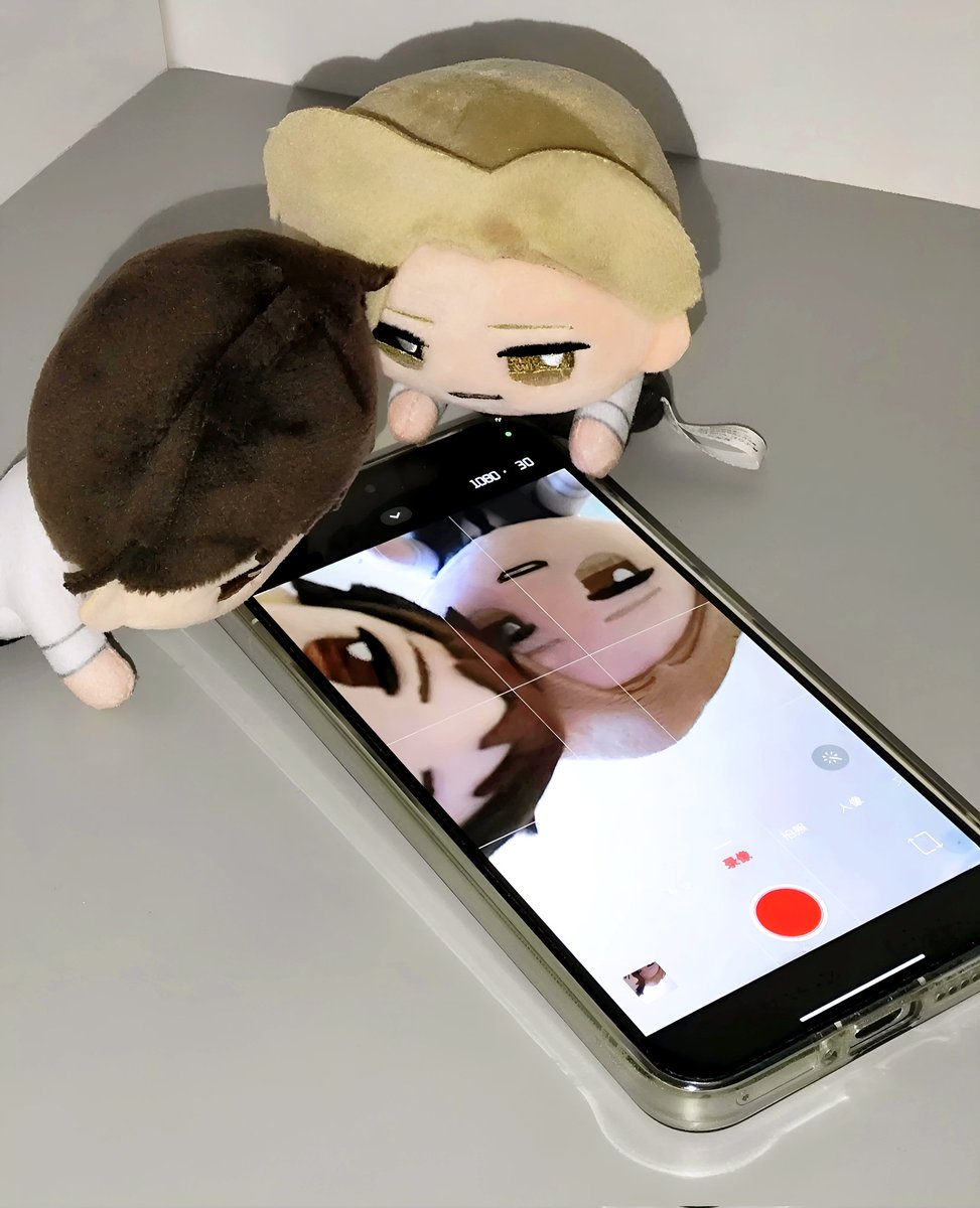 👀

#囀る鳥は羽ばたかない
#twitteringbirdsneverfly
#囀る写真部
#Saezuru