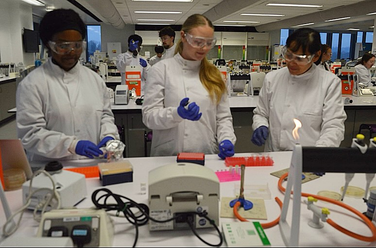 SUBioscience's tweet photo. Did someone say DNA?!
Students have been diving into some molecular biology fun, extracting bacterial DNA and running PCR to amplify their genes of interest. From pipettes to thermal cyclers, they’ve been mastering the skills that make molecular magic happen #BiomedicalScience https://t.co/FKJkXt14vF