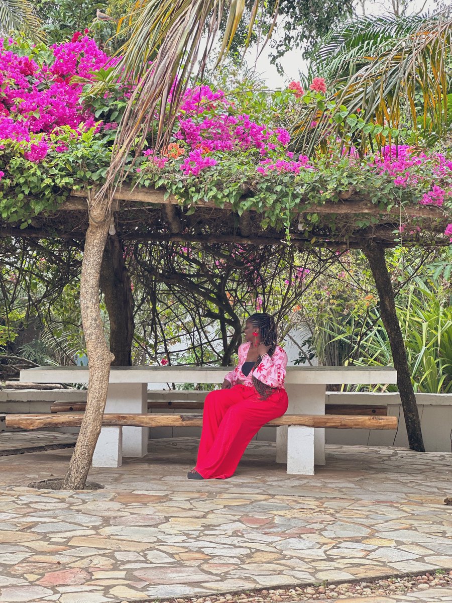 TomisinOyerinde's tweet photo. Hi, my name is Tomisin. I’m a travel content creator and also a travel entrepreneur.

I curate travel experiences for people(groups and individuals) to different destinations through my travel brand, Vibe Trippers.

I’m currently planning a trip to Benin Republic in March. https://t.co/Eeix7Ufu8A