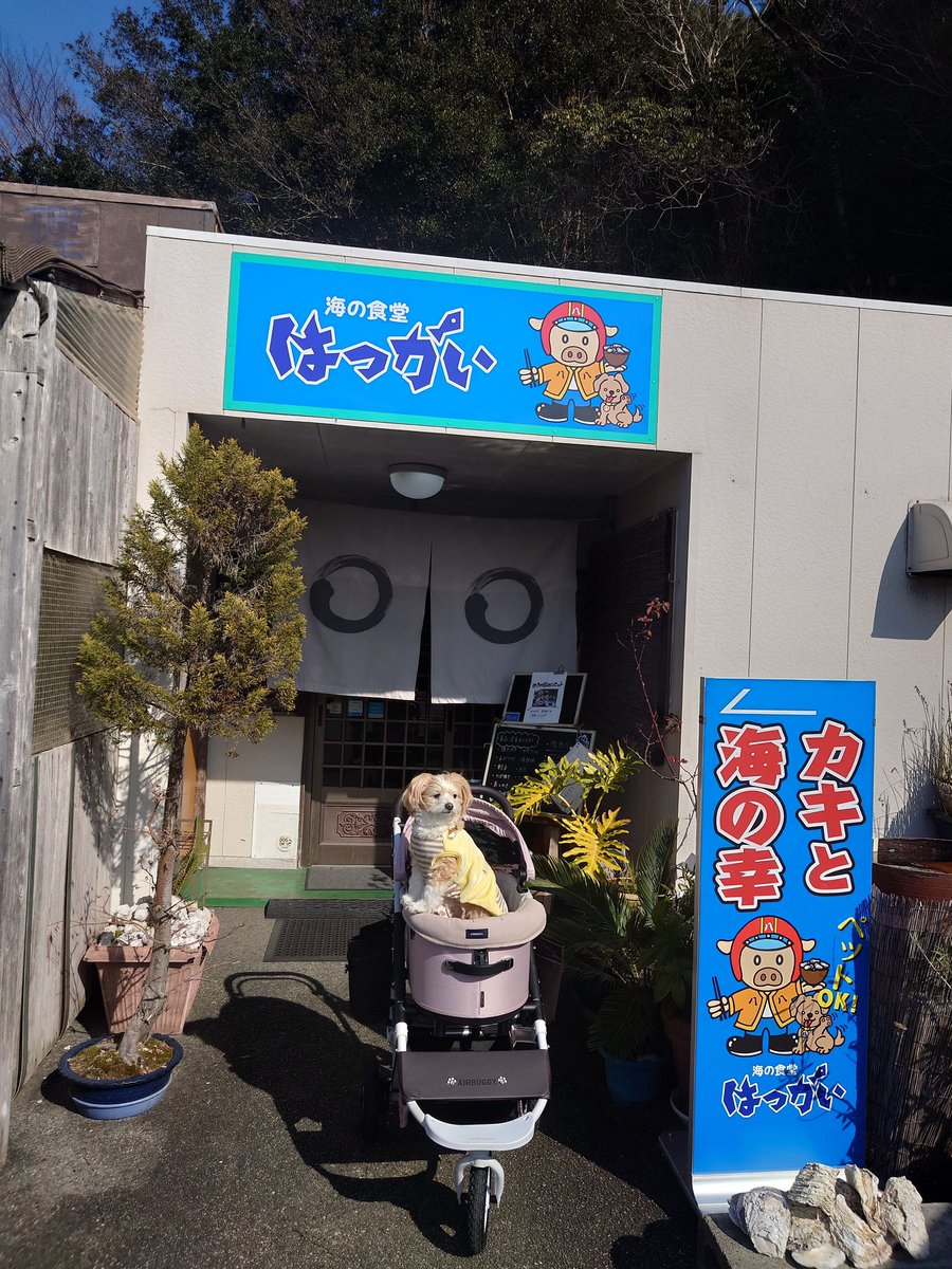 まぁーくん🐾 tweet media