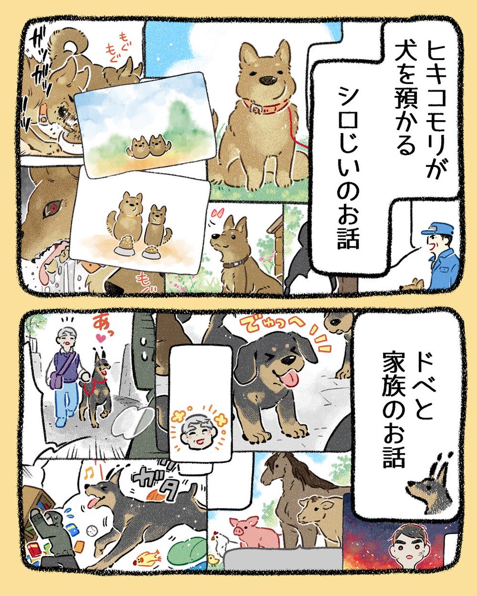 (2/3) 