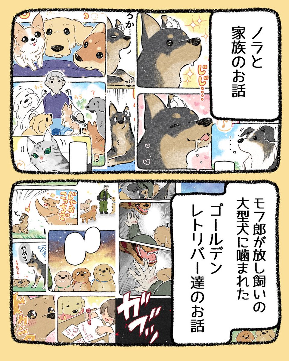 (2/3) 