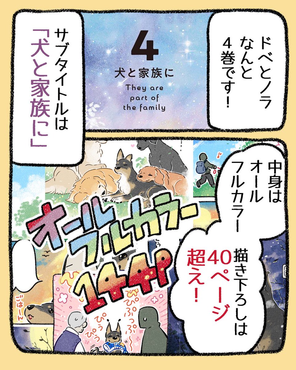 (2/3) 