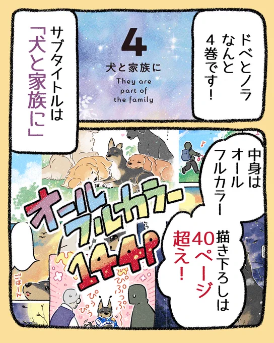 (2/3) 