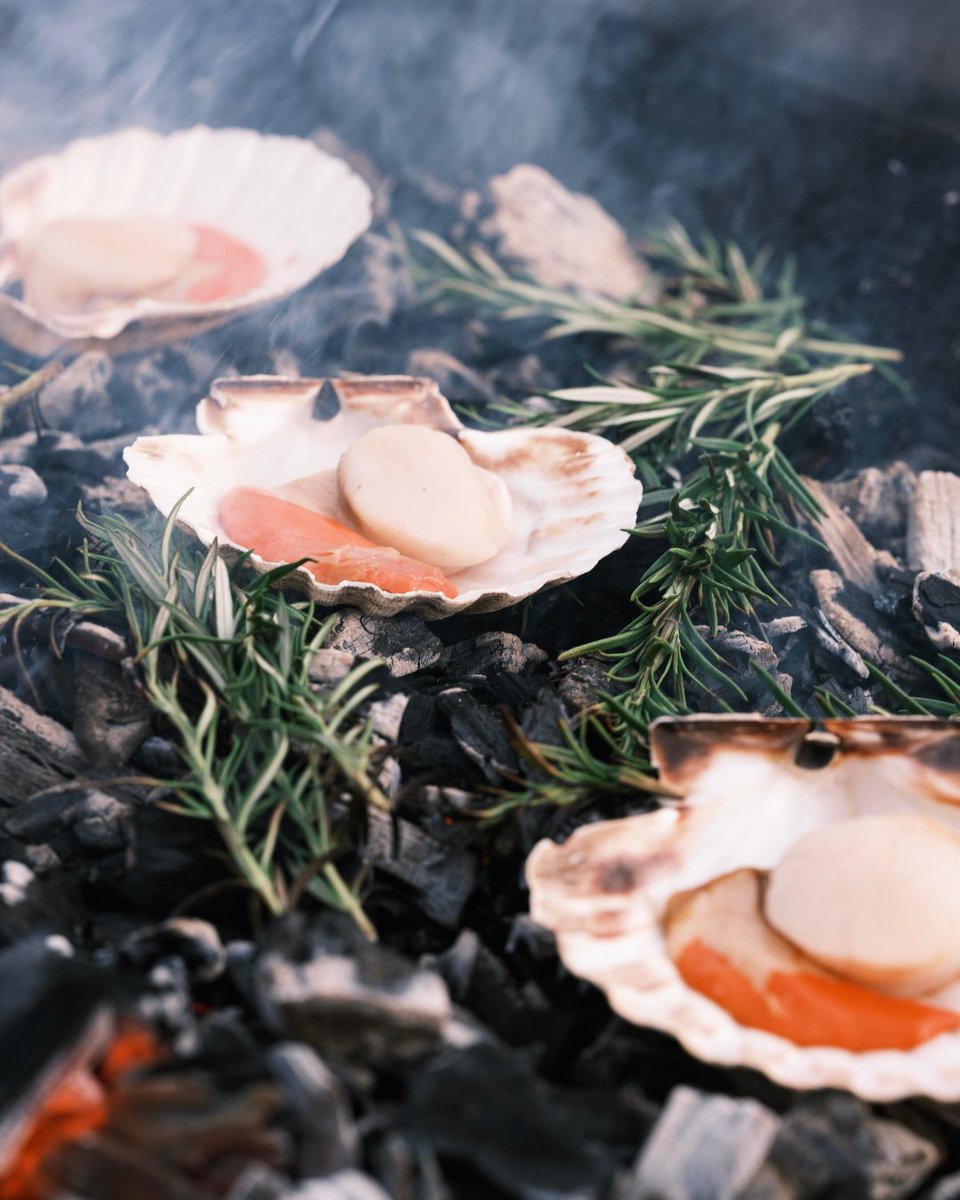 Tricker's tweet media