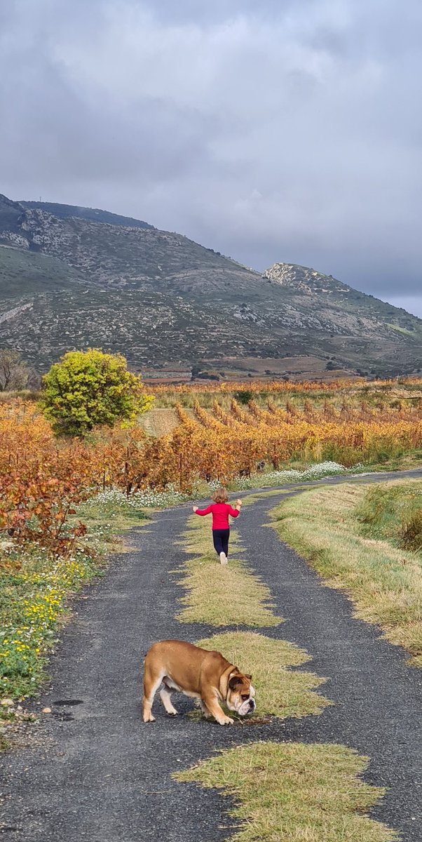 Miss Moneypenny tweet media