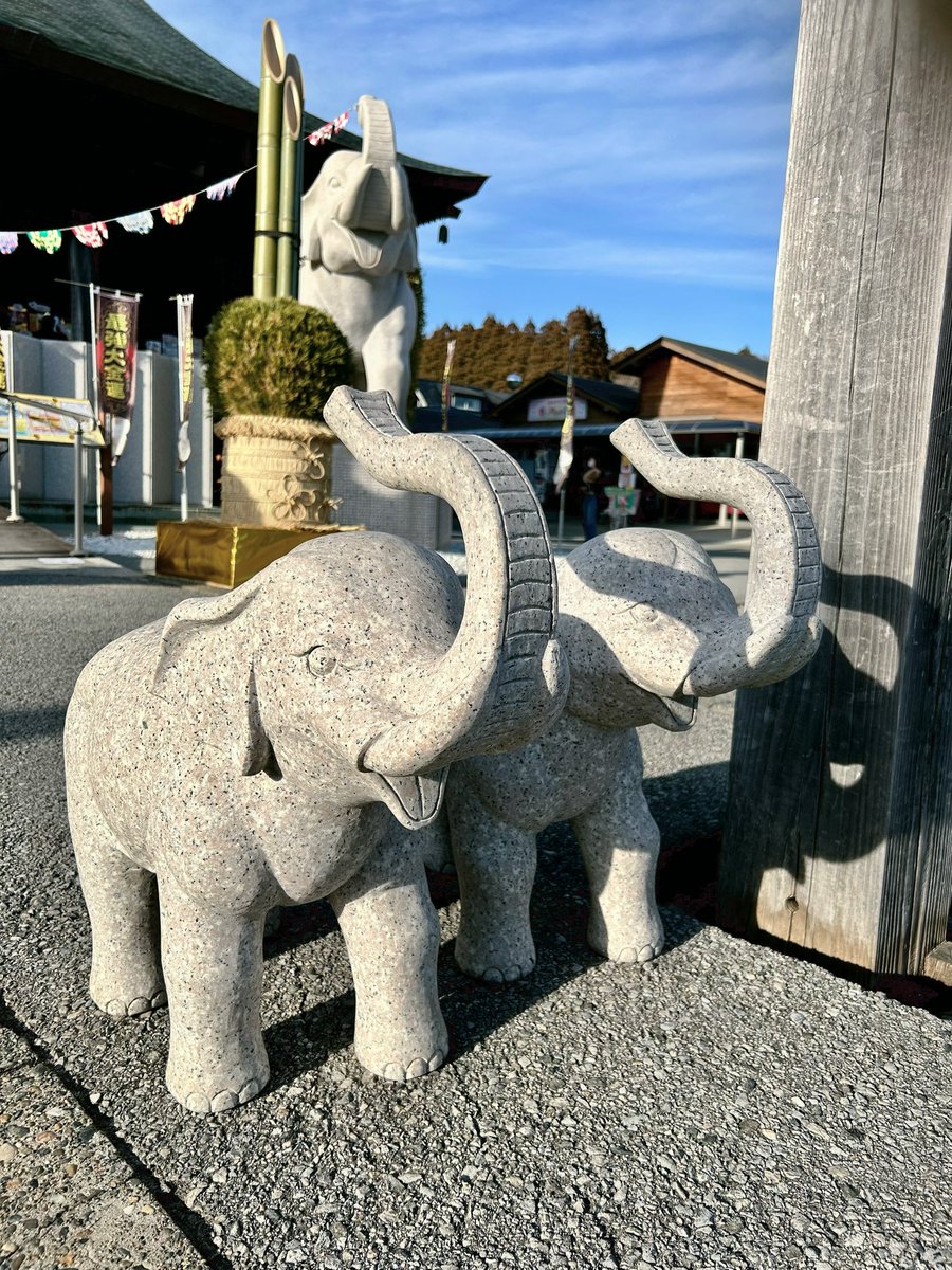 長福寿寺・金運アップの吉ゾウくん【公式】 (@chofukujuji_PR) / Posts / X
