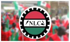 tvcnewsng's tweet photo. NLC Reaffirms Support For JUAC, Plans Solidarity Walk Tuesday
https://t.co/J2dcYTA1Mp
#NLC
#JUAC
#solidarity https://t.co/C8lAzzVfwt