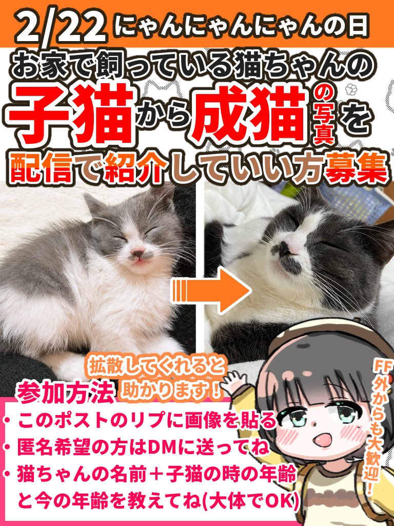 雛心ひな@依頼受け付け中 (@hinamihinatyan) / Posts / X