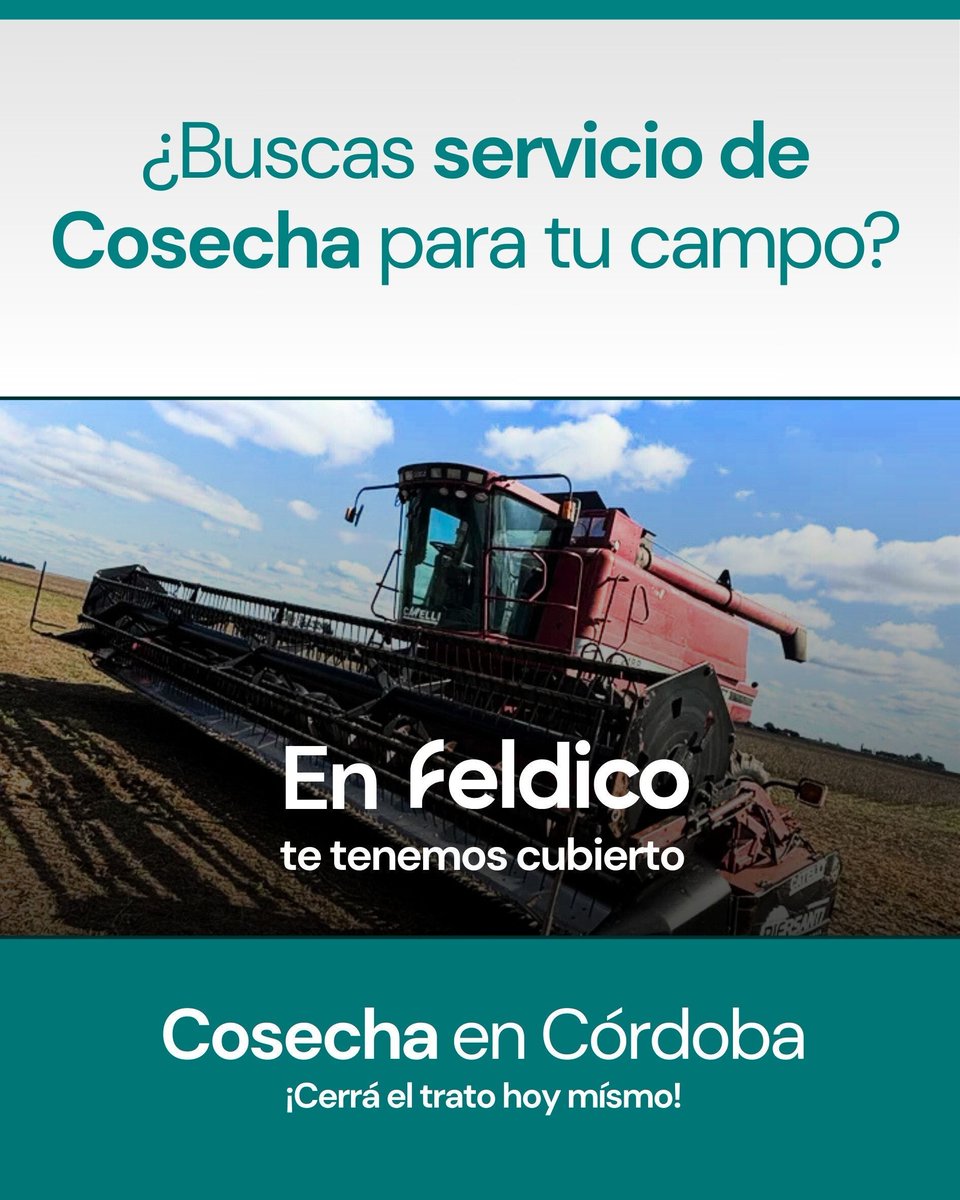 feldico's tweet image. 🌾 ¿Buscás servicio de cosecha?
💚 En Feldico te tenemos cubierto.

🚜 Case Axial Flow 2188 4x4 (1999)
📍 Córdoba y alrededores

Cerrá el trato hoy 👇
🔗 feldico.com/cosecha/alejo-…

#cosecha #agro #campo #agroargentina