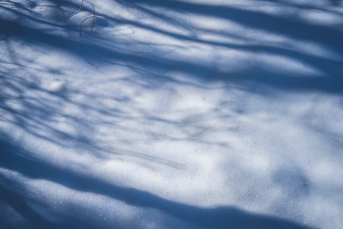 香川県のそれも高松市に住んでいると本当に雪が珍しいので少しでも雪を見れたらワクワクしちゃう。
なんでもないただ地面に雪があるだけ。
でもそれだけでなんか嬉しい☃️