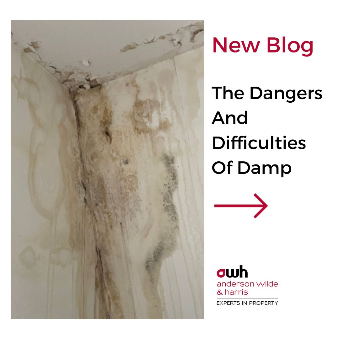 The Dangers &amp; Difficulties of Damp

Our latest blog explains the various types of damp, it's causes and whether you have a damp problem or would like to prevent it, what our Building Surveyors can do to help.

lnkd.in/eJYypQPV

#buildingsurvey #buildingsurveyor #dampissues