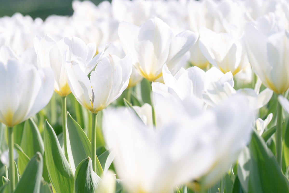 「愛してる」ならもう聞かないよ
この先もずっと抱きしめていてほしい.