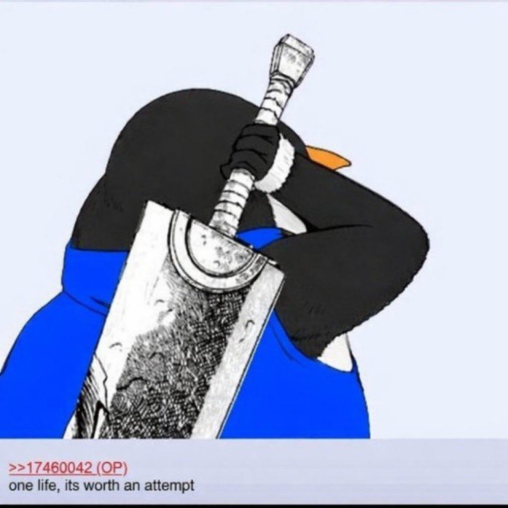 Nitigya Kapoor tweet media