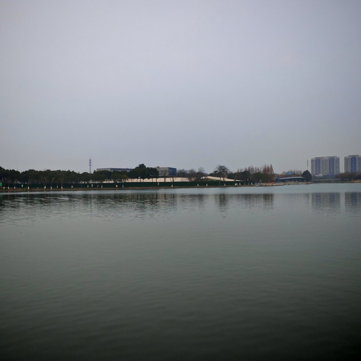 柔软-魔都cp tweet media