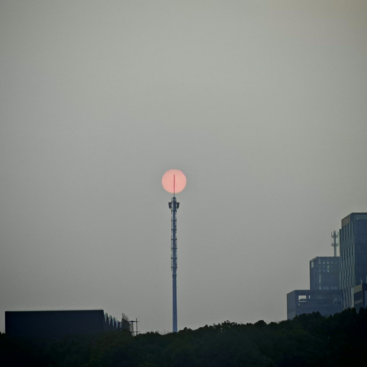 柔软-魔都cp tweet media