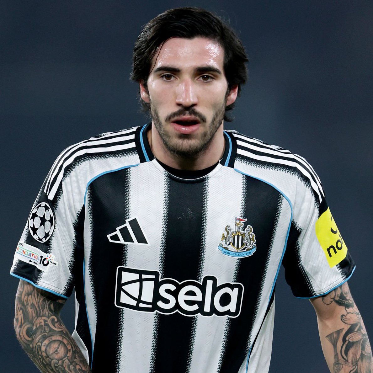 DailyAFC tweet media