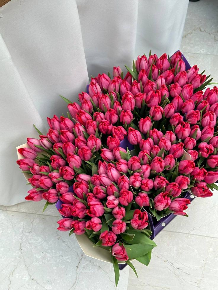 Only Tulips (@tutututututulip) on Twitter photo 