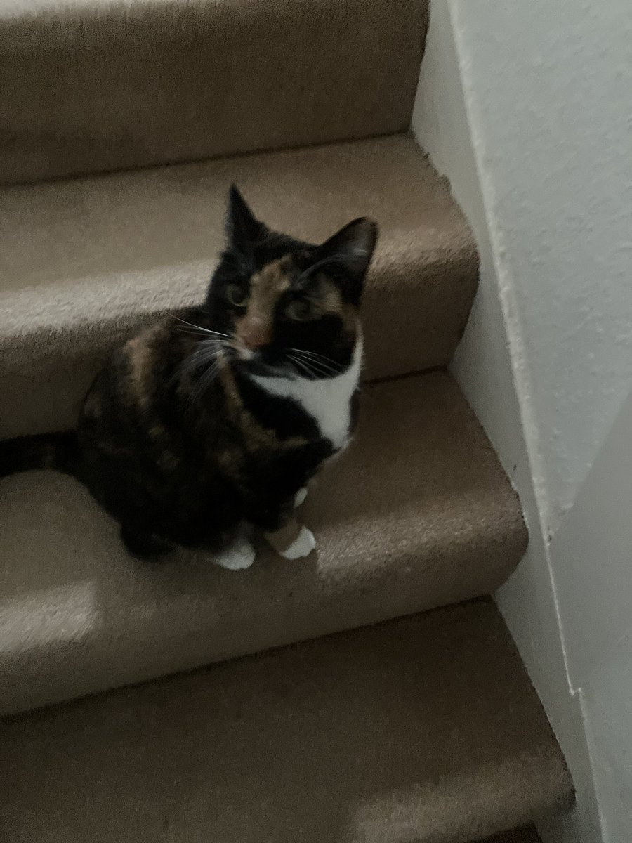 Stephanie Addington (she/her) tweet media