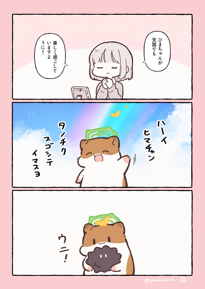 しらほし卯乃@単行本発売中🌻🐹 (@ponchimint) / Posts / X