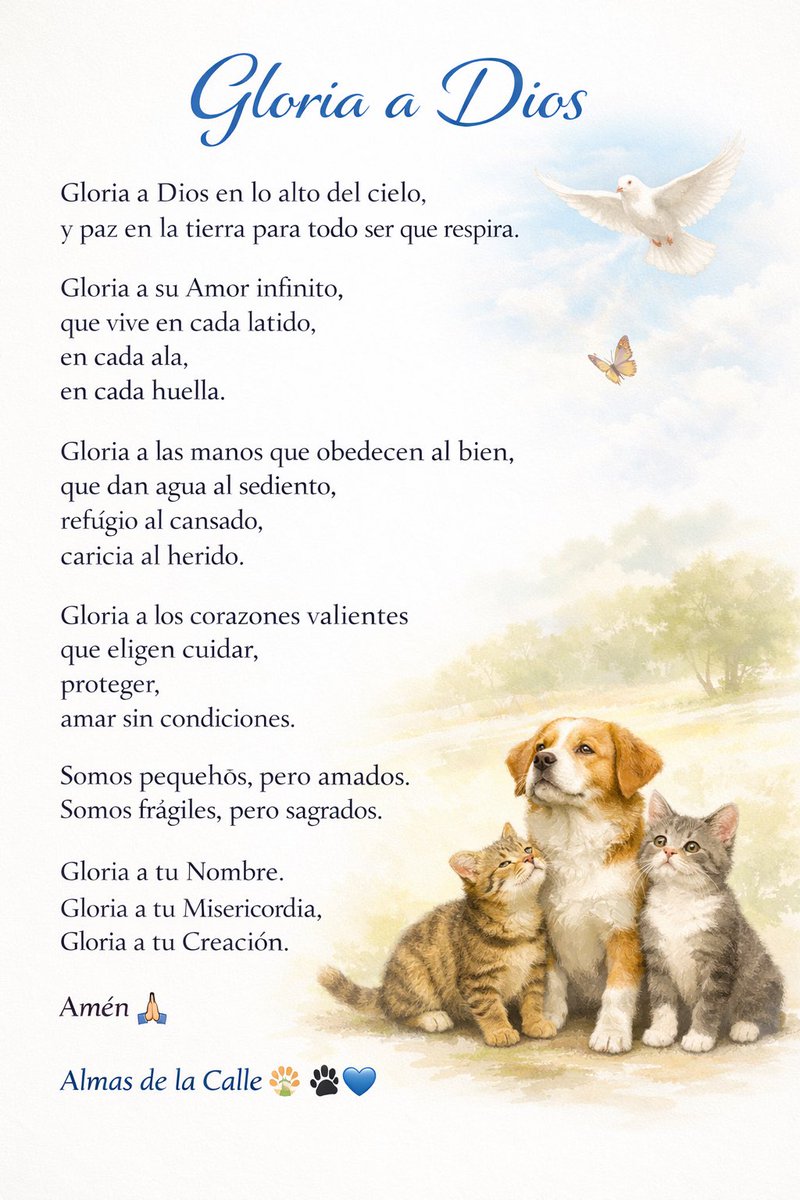 Almas De La Calle tweet media