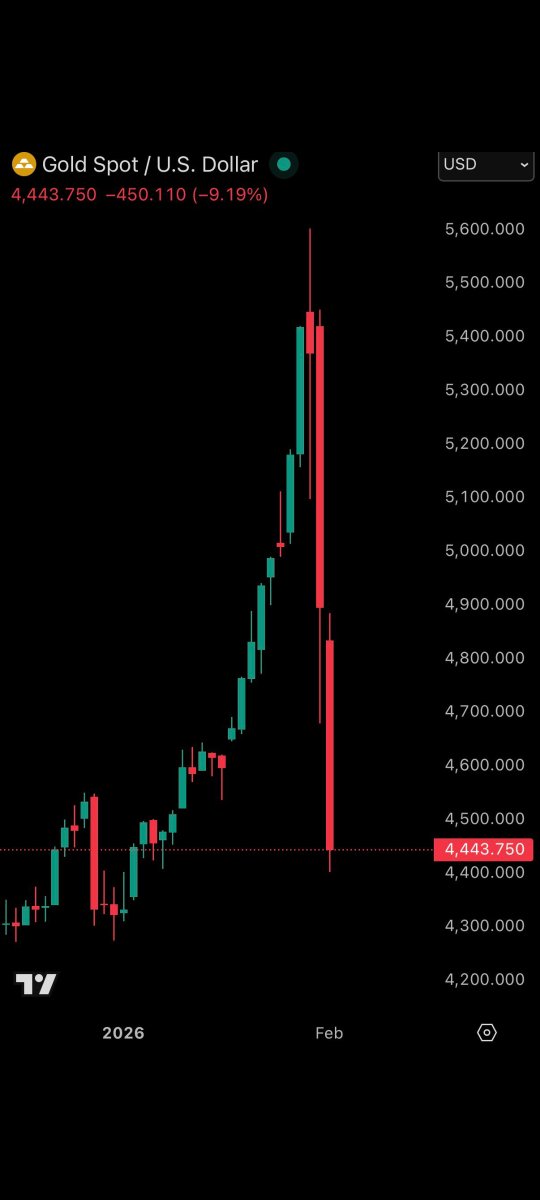Freddie New tweet media