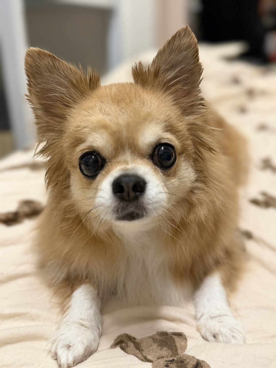 さおりん (@saorin_njj) / Posts / X