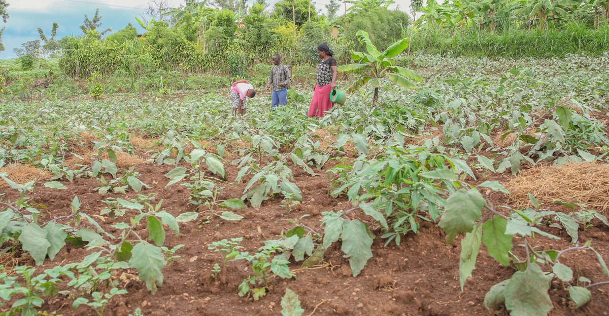 SOS Children's Villages Rwanda tweet media