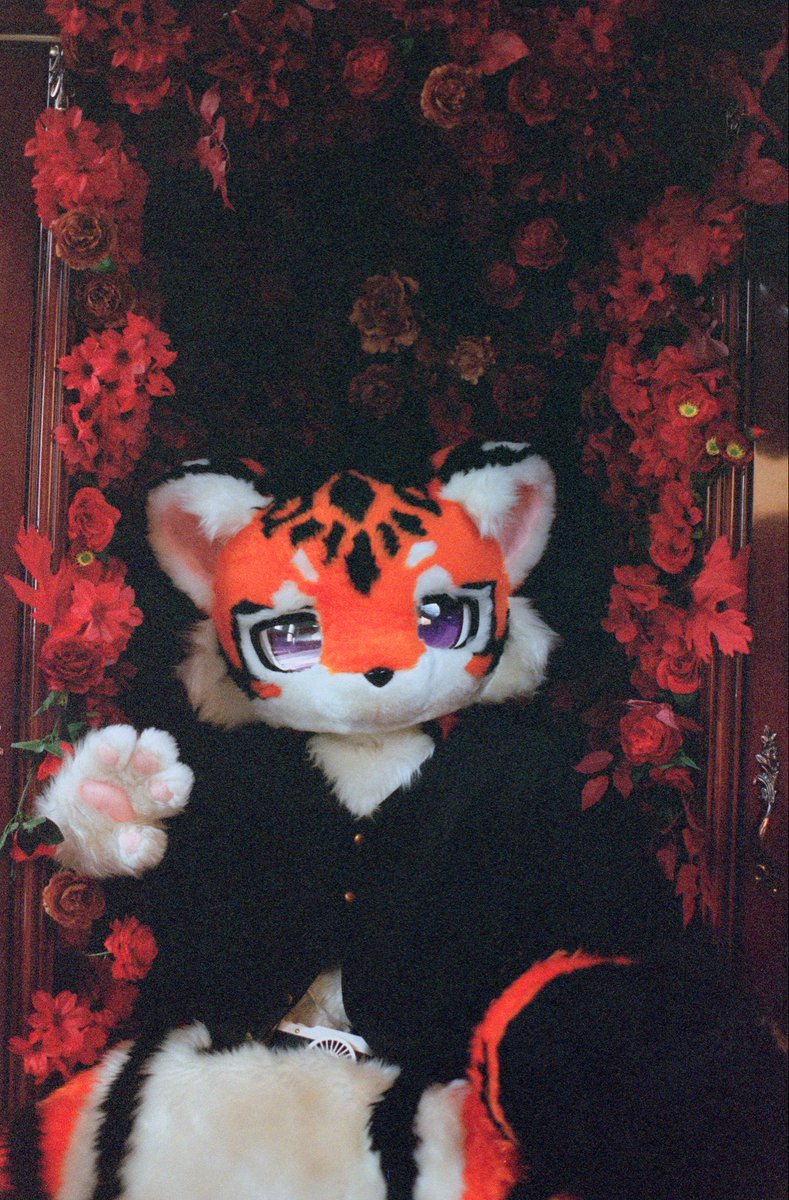 LigerRoxy tweet media