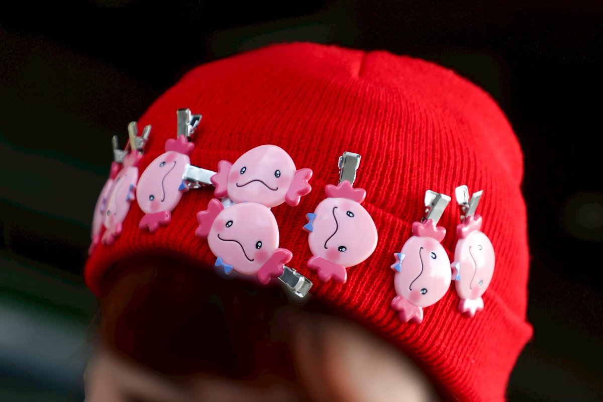 みんなお待たせ…！ 5度目の再入荷です🥰 みんないつも早いからなぁー