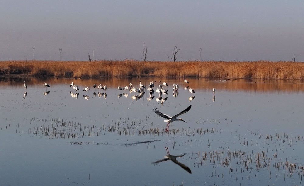 Amazing Hebei tweet media