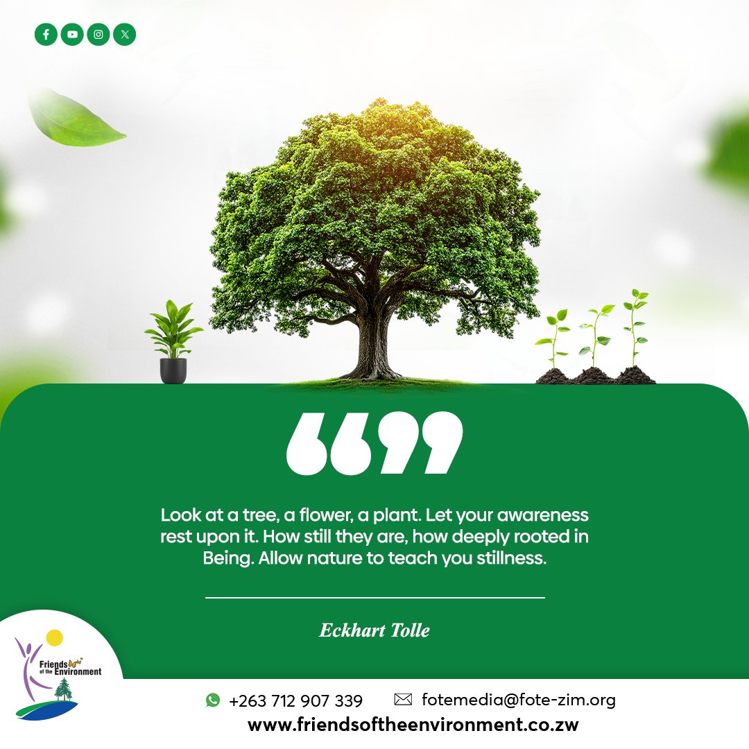 fote_zim's tweet photo. Motivational Monday
#PlantATreeToday
#EcosystemRestoration
#BuildingCommunitiesTogether
@WWFZimEarthHour
@forestrycom1 https://t.co/KeFTeCVBeP