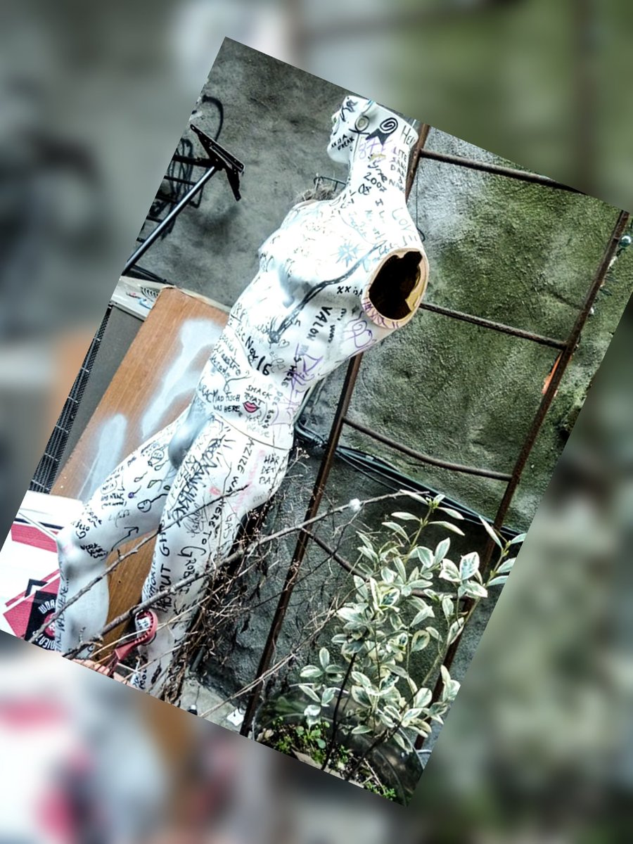 ɯinƃ · ˙ᄅ. tweet media