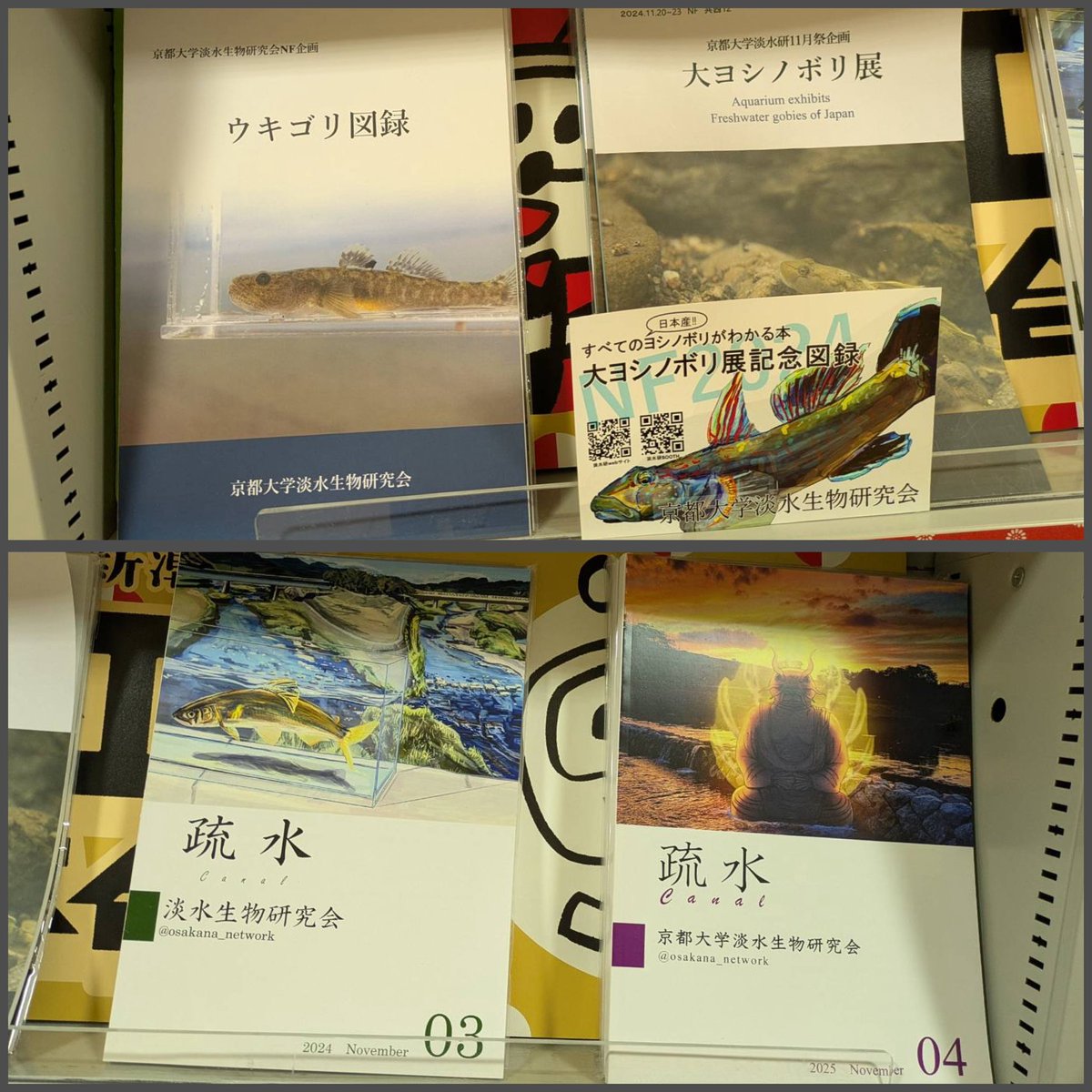 現在京大生協ショップルネにて、ウキゴリ図録の紙版、疏水最新刊の取り扱いも始まっております！

1段丸々占領‼️