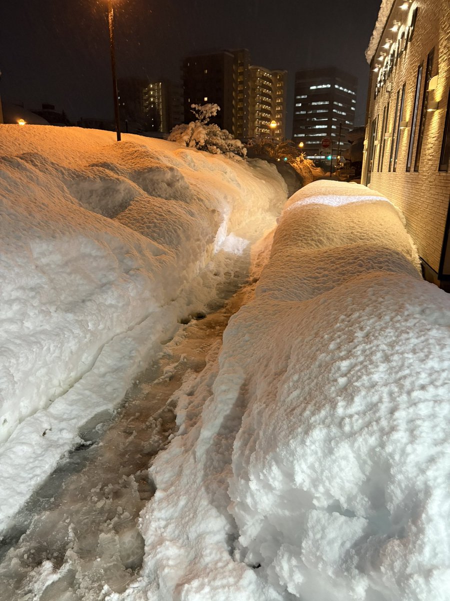 yoshidayatofu's tweet photo. 信じられる？
ここ4車線道路で歩道も広いのに
今こんな
1車線で大きな中央分離帯が出来てる https://t.co/qvoUurupWC