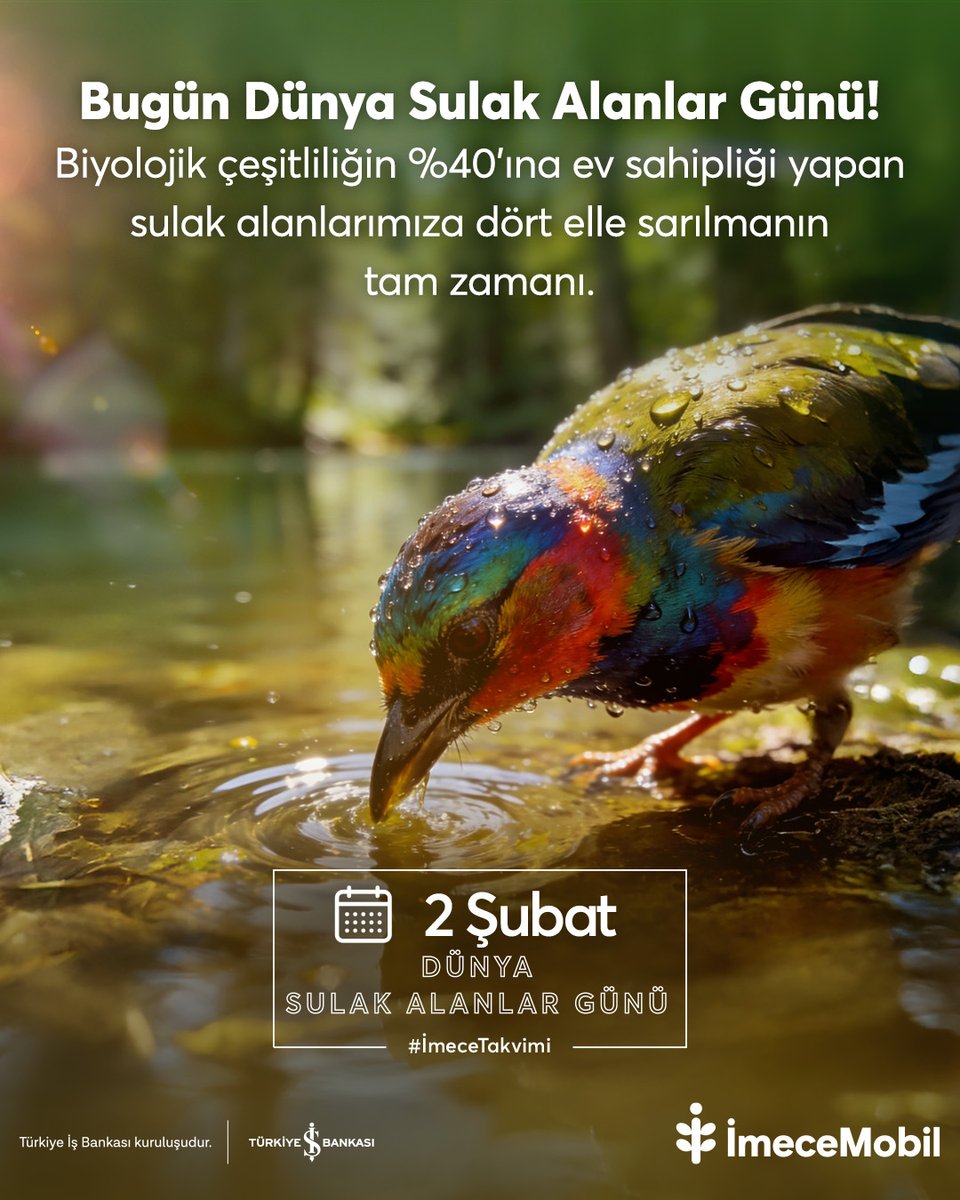 Dünya Sulak Alanlar Günü’nde bu ekosistemin ne kadar değerli olduğunu bir kez daha hatırlayalım. 
.
.
#dünyasulakalanlargünü #sulakalanlarıkoruyalım #sulakalanlar