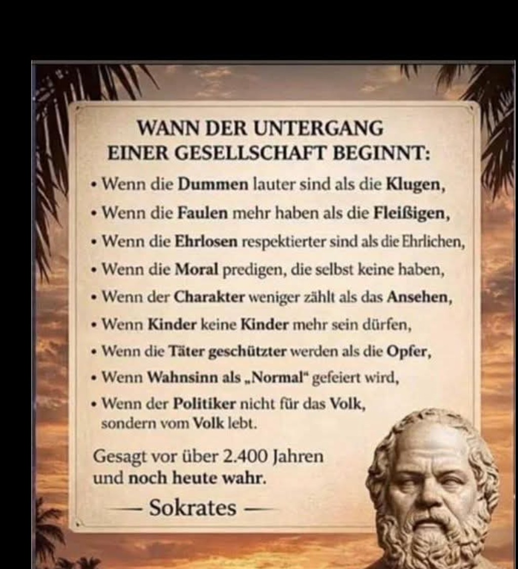 Doris K. 🇦🇹 tweet media