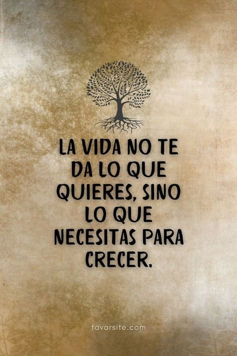 ImperioEstoico's tweet image. 