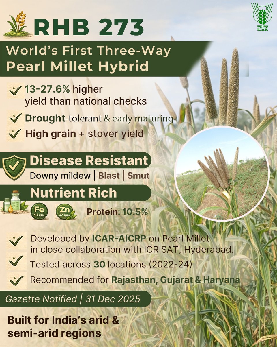 #ICAR develops RHB 273, the world’s first three-way pearl millet hybrid. With 13–27.6% higher yield, strong disease resistance &amp; rich nutrition, it’s farmer-ready for dry regions.
<a href="/ChouhanShivraj/">Shivraj Singh Chouhan</a> <a href="/PIB_India/">PIB India</a> <a href="/AgriGoI/">Agriculture INDIA</a>