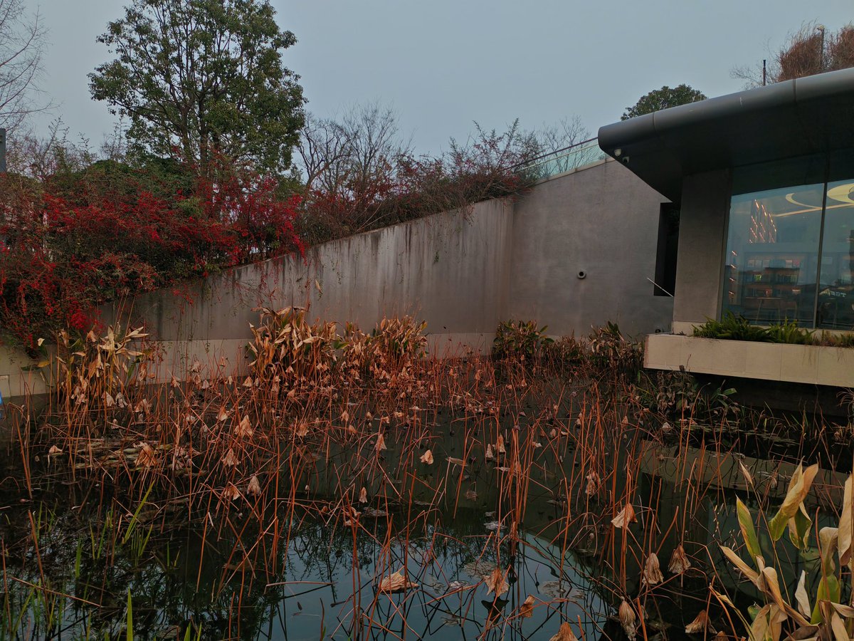 柔软-魔都cp tweet media