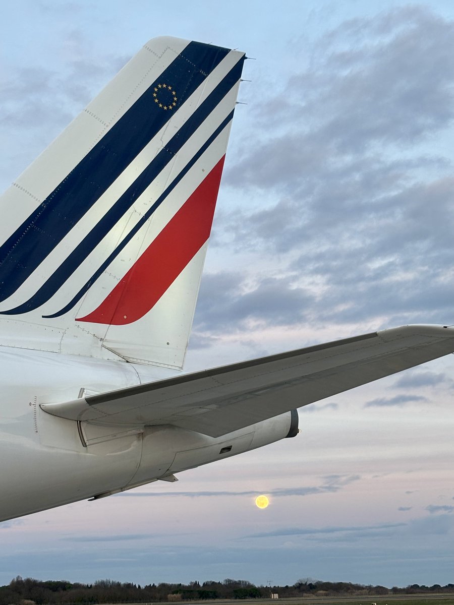 F.✈️⭐️ tweet media